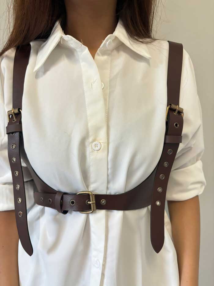 Classic Brown Harness