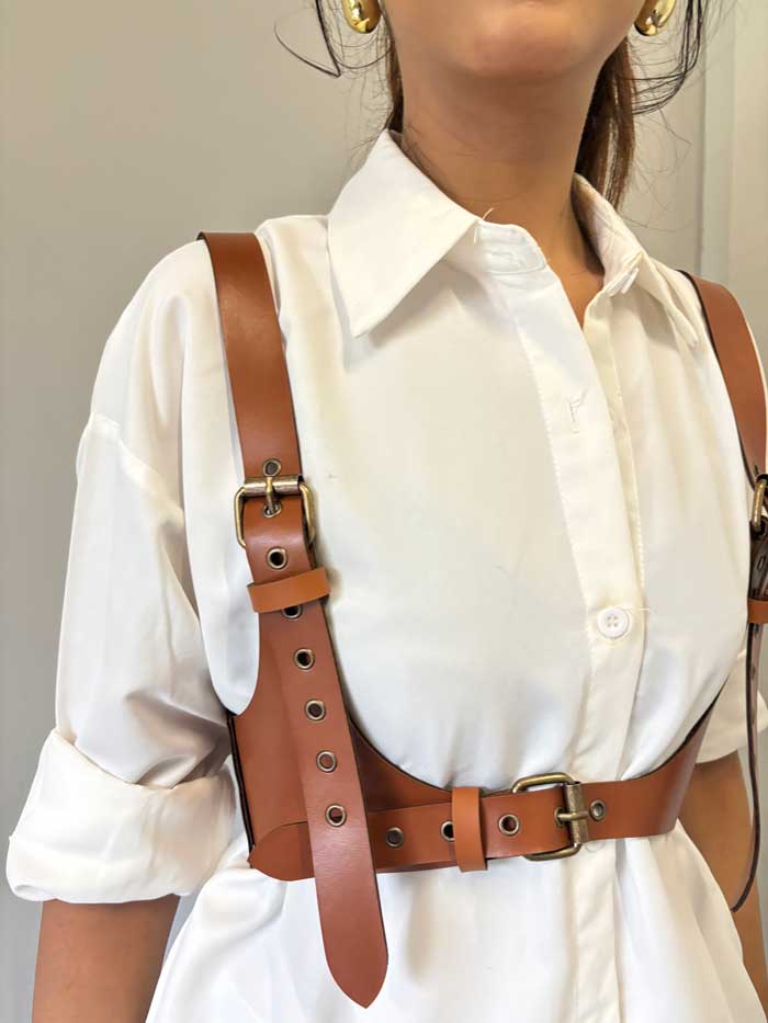 Harness